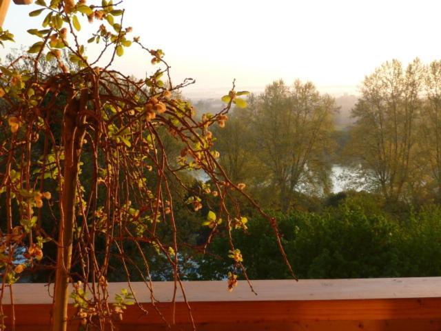 Le Dormeur Du Val Bed & Breakfast Le Mas-d'Agenais Room photo
